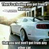 steven_huff